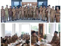 Apdesi Dua Kecamatan Di Pesibar Audensi Dengan Bupati Dedi Irawan