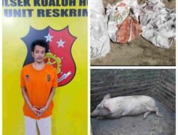 Polsek Kualuh Hulu Tangkap Pelaku Pencurian Babi dan Besi Rel Kereta Api