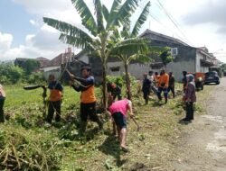 Tumbuhkan Kebersamaan Dan Gotong Royong, Babinsa Sumber Bersama Tim Saberling Dan Warga Bersihkan Lingkungan