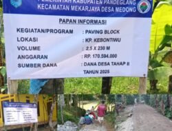 Pemdes Medong Kecamatan Mekar Jaya Kabupaten Pandeglang Realisasikan Dana Desa Tahap 2 Membangun Jalan Paving Block