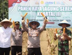 Panen Raya Jagung di Kebumen, Polres Dorong Kesejahteraan Petani Lewat Kemitraan