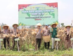 Polres Purbalingga Gelar Panen Raya Jagung Serentak Kuartal III