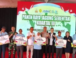 Forkopimda Boyolali Gelar Panen Raya Jagung Serentak, Dorong Ketahanan Pangan Daerah