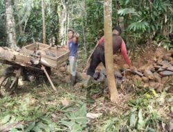 Beranikah Kajari Cilacap Memeriksa Pekerjaan P3A Sekar Mukti Yang Diduga Tidak Sesuai Dengan Spesifikasi 