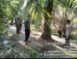 Team Opsnal Polsek Kualuh Hulu Grebek Dua Lokasi Sarang Narkoba Yang Ada Di wilayah Hukumnya