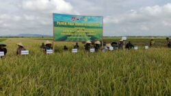 Bukti Nyata Korem 071/Wijayakusuma Dan Universitas Jenderal Sudirman Berhasil Mendukung Ketahanan Pangan