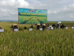 Bukti Nyata Korem 071/Wijayakusuma Dan Universitas Jenderal Sudirman Berhasil Mendukung Ketahanan Pangan