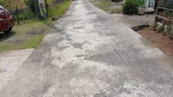 Kinerja Tim PPHP Dipertanyakan, Kualitas Rabat Beton Jalan Lingkungan Desa Bringkeng Diragukan, Warga Tuntut Audit.