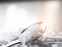 Habib Diduga Kebal Hukum Sehingga Bebas Edarkan Sabu Di Desa Perkebunan Teluk Panji