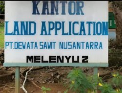 Asisten Afdeling LA Diduga Sengaja Gunakan Foto Profil Pemberitaan, Tuai Sorotan di Internal Perusahaan