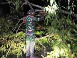 Babinsa Sertu Budi Utomo Sigap Tangani Pohon Tumbang, Akses Warga Simo Kembali Normal