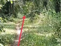 Warga Minta APH Lumpuhkan Napi Diduga Bandar Sabu Mual Mas Karena Sudah Meresahkan