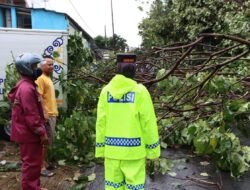 Kapolres Salatiga Pimpin Langsung Evakuasi Pohon Tumbang