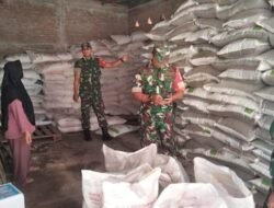 Diawal Musim Tanam, Babinsa Pastikan Stok Pupuk Bersubsidi Aman 