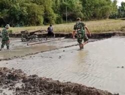 Babinsa Lakukan Pendampingan Pengolahan Lahan Sawah Untuk Persiapan Tanam
