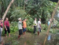 Polres Kebumen Tangani Pohon Tumbang di Dua Kecamatan, Warga Dapat Bantuan Sembako