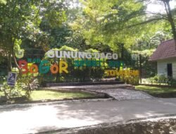 Obyek Wisata Alam Gunung Dago Sarana Tepat Buat Liburan Yang Tepat dan Terjangkau