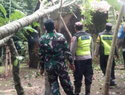 Pohon Melinjo Tumbang Timpa Atap Dapur Warga Setrojenar