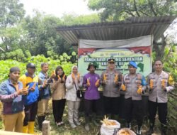 Polsek Lawang Kidul Dampingi Panen Jagung di Tegal Rejo, Wujud Dukungan Polri Pada Ketahanan Pangan