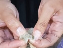 Penerima Manfaat Keluhkan Menu MBG Basi. Kepala SPPG Desa Somawangi Di Konfirmasi Tidak Respon 