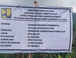 Kualitas Pekerjaan P3A Cibebelik Desa Cisalak Kecamatan Cimanggu Dipertanyakan ? 