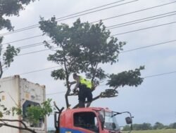 PAMAPTA Bergerak Cepat Atasi Darurat Pohon Tumbang, Kapolresta: Kami Hadir untuk Masyarakat