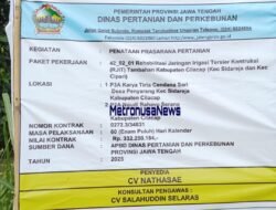 Proyek Penataan Prasarana Pertanian Milik Dinas Pertanian dan Perkebunan Provinsi Jateng Diduga Keras Ngawur 