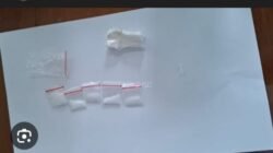 Habib Diduga Bandar Sabu Desa Perkebunan Teluk Panji Penegak Hukum Diminta Segera Bertindak