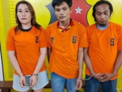 Team Opsnal Polsek Kualuh Hulu Tangkap Tiga Bandar Pil Ekstasi Di Perkebunan Sawit
