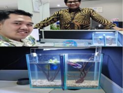 BRI Kanca Tangerang Merdeka: Karyawan dengan Hobi Ikan Hias, Cermin Kreativitas dan Dedikasi