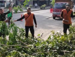 Babinsa Banjarsari Bersama DLH Dan Warga Masyarakat Kerja Bakti Perempelan Pohon Untuk Mitigasi Bencana