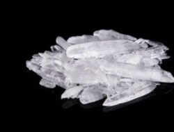 Coy Diduga Kendalikan Peredaran Sabu Belongkut , Penegak Hukum Polsek Marbau Diminta Bertindak