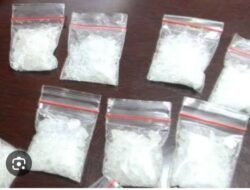 Hasan Tiro Diduga Kendalikan Peredaran Sabu Di Suka Rame Penegak Hukum Di Minta Segera Bertindak