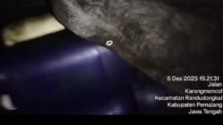 Didapati Puluhan Jerigen Berisi Solar Subsidi Telah Ditimbun Diarea Persawahan