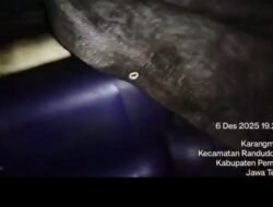 Didapati Puluhan Jerigen Berisi Solar Subsidi Telah Ditimbun Diarea Persawahan