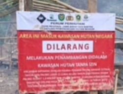 Diduga Ada Pembiaran, Aktivitas Tambang Emas Ilegal Kembali Marak di Cigudeg Bogor