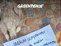 Teror Bangkai Ayam Menimpa Aktivis Greenpeace Iqbal Damanik