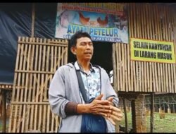 Program Ketahanan Pangan BUMDes Sumber Makmur Desa Sumber Arum Produksi Ayam Petelur   