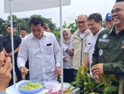 Bupati Tangerang Resmikan Greenhouse dan Panen Perdana Melon di Desa Sodong